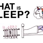 What is the science of sleep: Tips for better sleep
