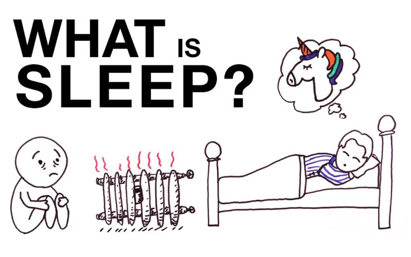 What is the science of sleep : Tips for better sleep