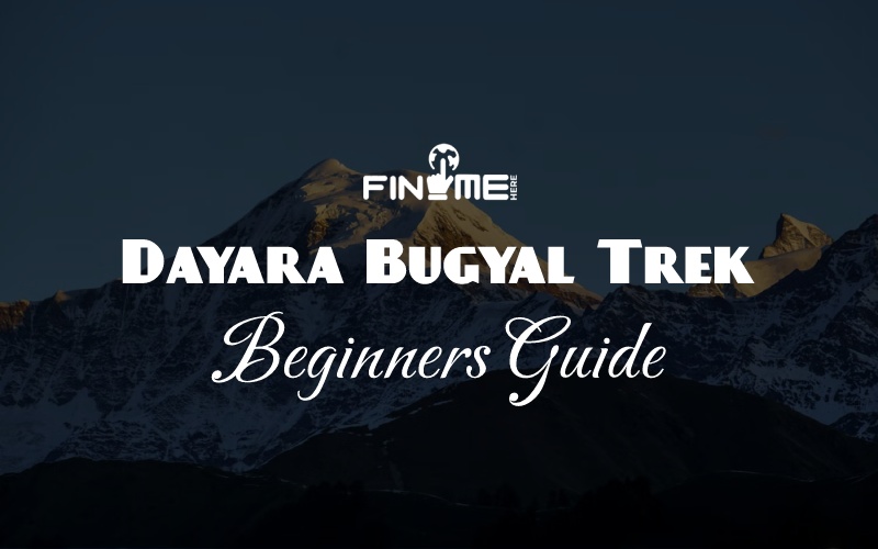 Dayara Bugyal Trek: Beginners Guide
